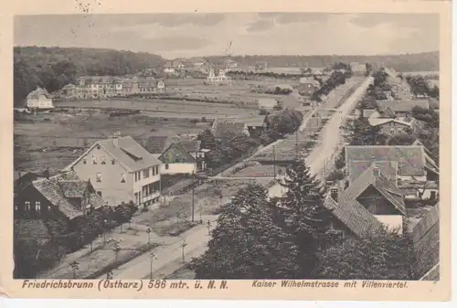 Friedrichsbrunn Straßenpartie mit Villen gl1914 91.722