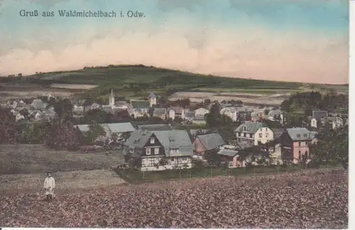 Waldmichelbach Panorama ngl 93.107