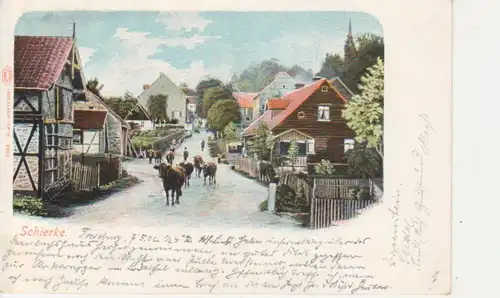 Schierke Straßenpartie mit Kühen bahnpgl1902 91.200