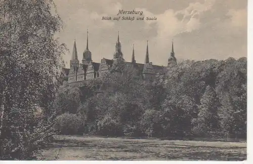 Merseburg Schloß und Saale ngl 91.681