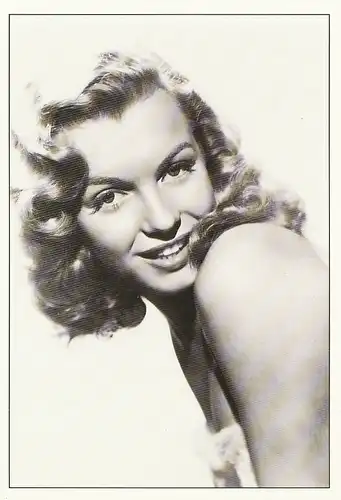 Porträt Marilyn Monroe ngl 115.563