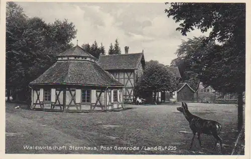 Gernrode Waldwirtschaft Sternhaus bahnpgl1937 91.901