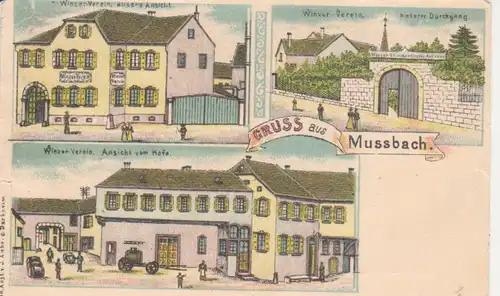 Mussbach Litho Winzer-Verein glca.1900 93.345
