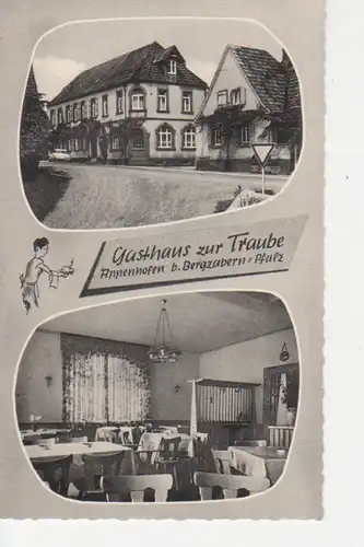 Appenhofen/Bergzabern Gasthaus zur Traube ngl 93.366