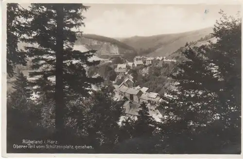 Rübeland Harz Oberer Teil v.Schützenplatz gl1931 B6428