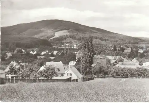 Darlingerode gegen Halberstädter Berg gl1981 B6398