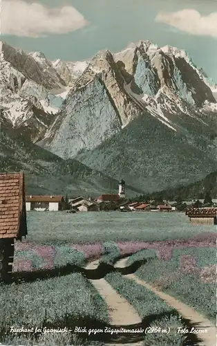 Farchant gegen Zugspitzmassiv gl1966 119.995