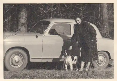 Partie am Auto mit Hund ngl 94.044