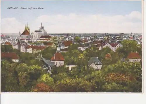 Erfurt Stadtpanorama mit Dom gl1928 92.512