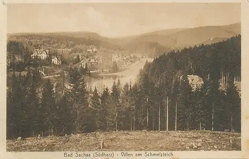 Bad Sachsa Villen am Schmelzteich ngl 118.522