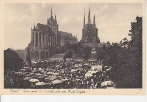 Erfurt Dom und Severikirche an Markttagen ngl 92.541