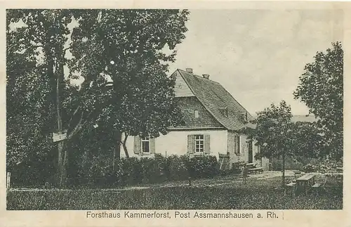 Aßmannshausen a.Rh. Forsthaus Kammerforst ngl 130.093