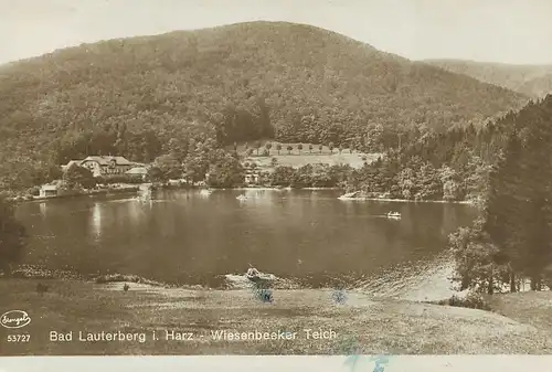 Bad Lauterberg i.H. Wiesenbeeker Teich gl1928 118.520