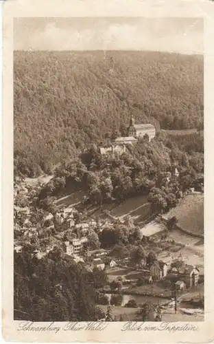 Schwarzburg Th.Wald vom Trippstein gl~1930? B5788