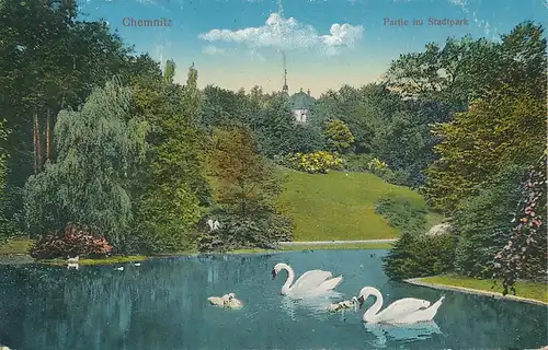 Chemnitz Partie im Stadtpark gl1916 127.737