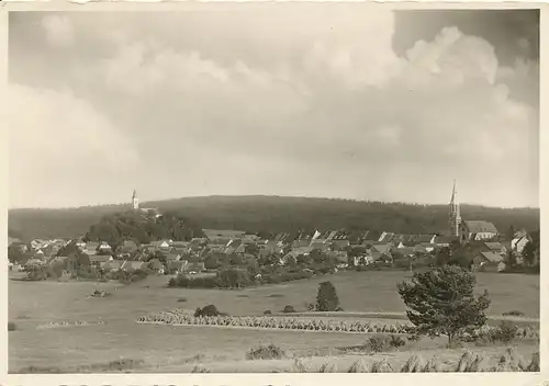 Pleystein Panorama mit Kirchen ngl 120.706