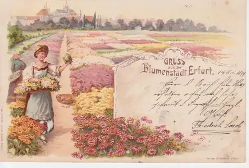 Erfurt Litho Blumenfelder und Stadt gl1899 95.925