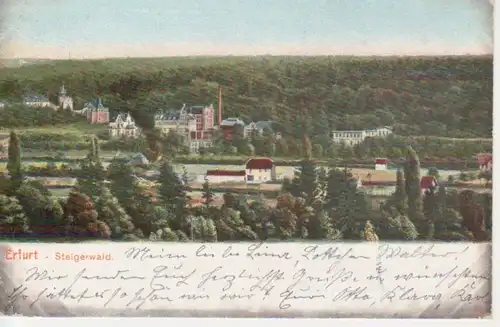 Erfurt Steigerwald-Panorama gl1903 95.935