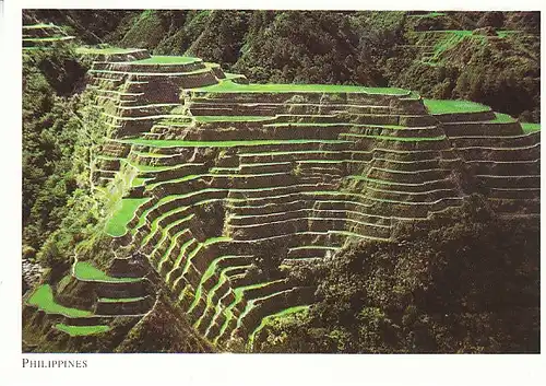 Philippines Rice Terraces Banaue Ifugao Pr. ngl C0447