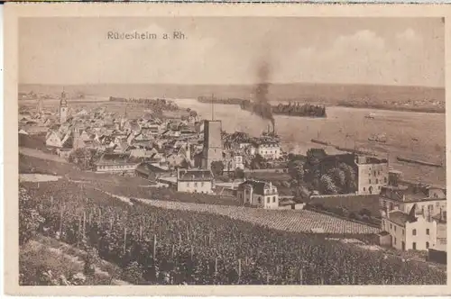 Blick auf Rüdesheim a.Rhein ngl B5476