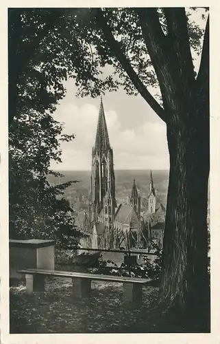 Freiburg Blick vom Schlossberg gl1955 134.405