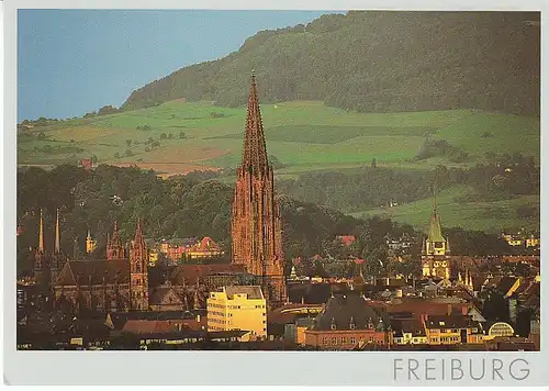 Freiburg i.Br. Münster und Martinstor ngl C0405