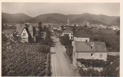 Maikammer-Alsterweiler Panorama ngl 93.353