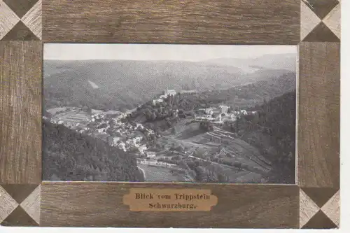 Schwarzburg Panorama-Blick vom Trippstein ngl 96.431