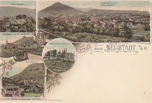 Neustadt/Haardt Litho Teilansichten Totale ngl 93.303