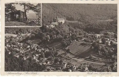 Schwarzburg Th.Wald vom Trippstein ngl B5789