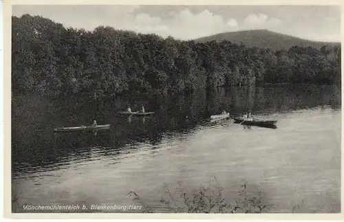 Mönchemühlenteich bei Blankenburg/Harz ngl B6389