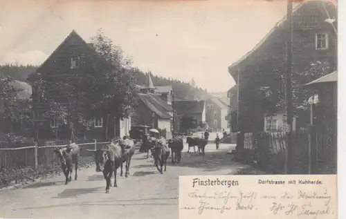 Finsterbergen/Thür. Dorfstraße Kuhherde gl1906 96.068