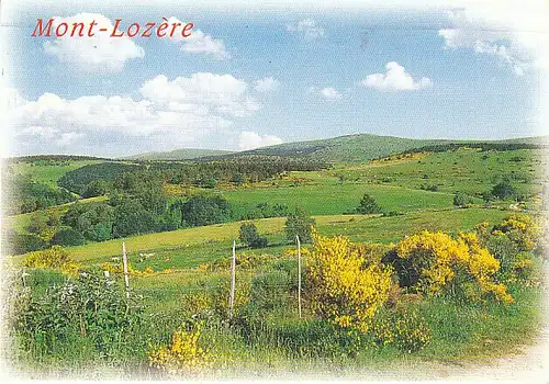 Paysage du Mont-Lozère gl2000 C0411