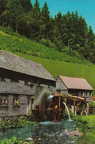 Mühle im Schwarzwald ngl B8318