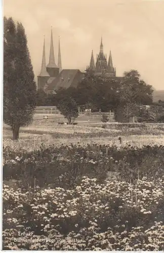 Erfurt Blumenfelder Dom Severikirche gl1936 B6625