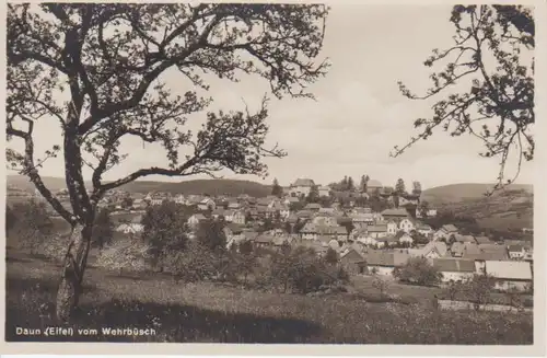 Daun (Eifel) Panorama ngl 99.615