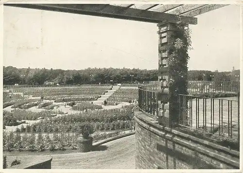 Essen a.d. Ruhr Gruga Dahlien-Arena ngl 132.811