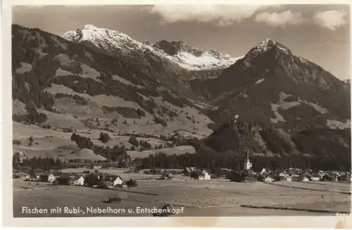 Fischen m. Rubi-, Nebelhorn u. Entschenkopf ngl B7216