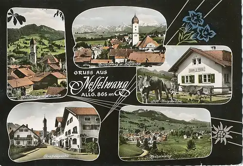 Nesselwang Teilansichten ngl 123.663