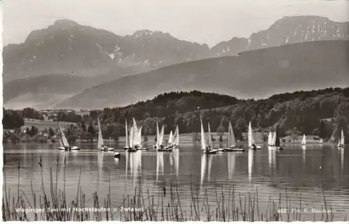 Segelregatta (?) auf dem Waginger See gl1969 B7160