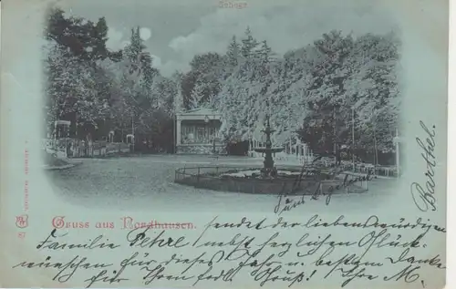 Nordhausen Gehege gl1900 96.017