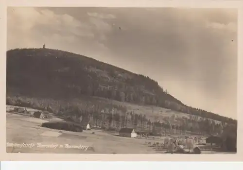 Tannendorf mit Tannenberg Panorama ngl 96.074