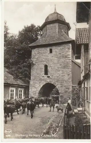 Stolberg/Harz Rindvieh im Alten Tor gl1937 B6568