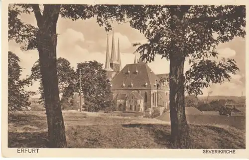 Erfurt Severikirche ngl B6624