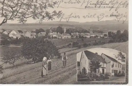 Tröftel im Taunus Gasthaus F. Schütz glca.1920 95.312