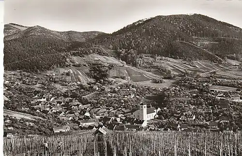 Weinort Neuweier bei Baden-Baden ngl B8259