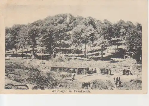 Waldlager in Frankreich feldpgl1917 201.376