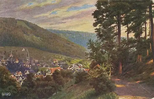 Bad Wildbad Panorama Künstler-AK ngl 133.529