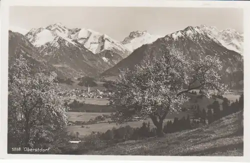 Oberstdorf/Allg. in seiner Landschaft ngl B7195