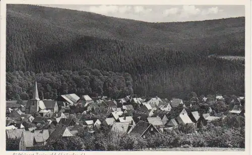 Freienohl/Sauerland Panorama bahnpgl1958 99.752